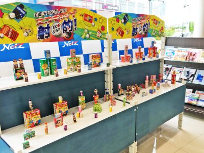 広告制作 カーディーラー冊子DM